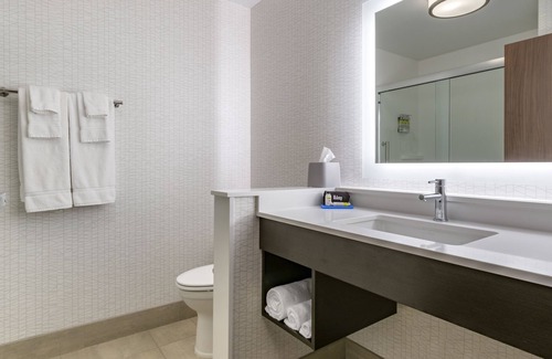 Salunga Hotel | Holiday Inn Express & Suites Lancaster - Mount Joy by IHG