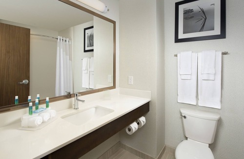Bay City Hotel | Holiday Inn Express & Suites Bay City by IHG