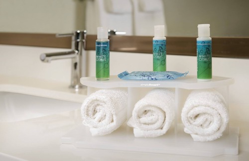Bay City Hotel | Holiday Inn Express & Suites Bay City by IHG