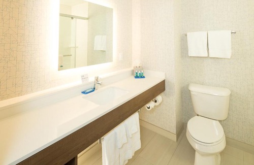 Kalamazoo Hotel | Holiday Inn Express & Suites - Kalamazoo West by IHG