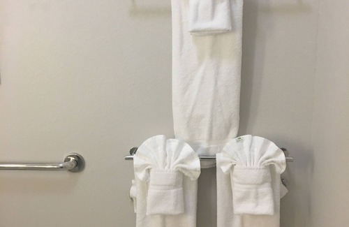 Brenham Hotel | Holiday Inn Express & Suites Brenham South by IHG