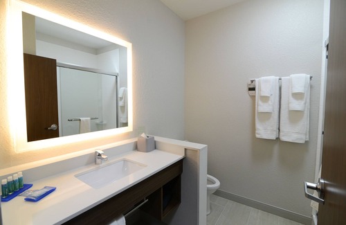 Niles Hotel | Holiday Inn Express & Suites Chicago North Shore - Niles by IHG