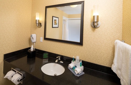 Troy Hotel | Holiday Inn Express & Suites Detroit North - Troy by IHG