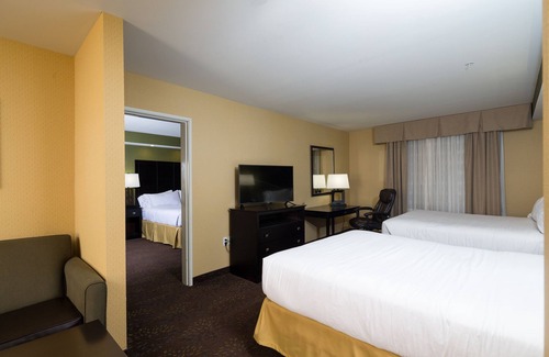 Troy Hotel | Holiday Inn Express & Suites Detroit North - Troy by IHG