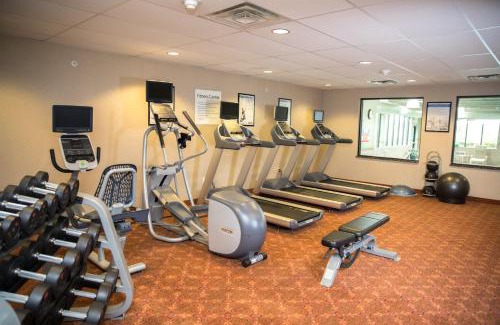 Novi Hotel | Holiday Inn Express & Suites Detroit - Novi by IHG