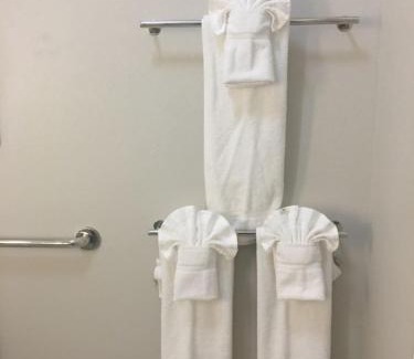 Brenham Hotel | Holiday Inn Express & Suites - Brenham South by IHG