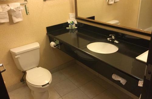 Longview Hotel | Holiday Inn Express & Suites Longview South I-20 by IHG