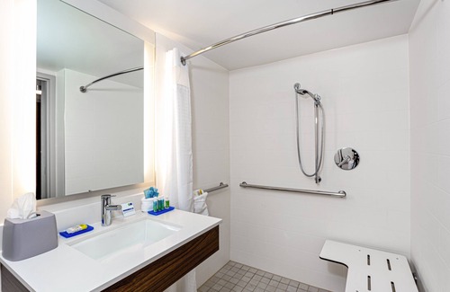 Limona Improvement Hotel | Holiday Inn Express Tampa-Brandon by IHG