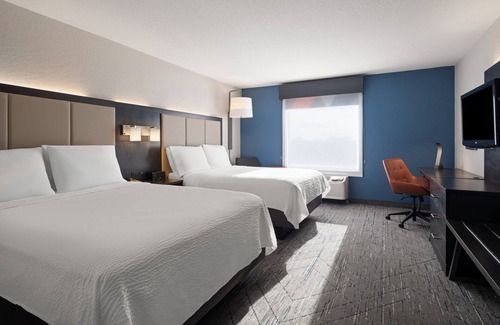 St. Petersburg - Clearwater Hotel | Holiday Inn Express St. Petersburg North (I-275) by IHG