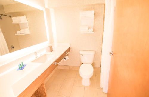 Stone Mountain Hotel | Holiday Inn Express Atlanta-Stone Mountain by IHG