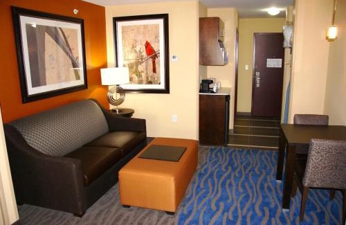 Airport Township Hotel | Holiday Inn Express & Suites St Louis Airport by IHG