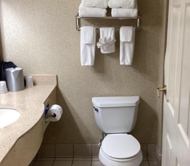 Vicksburg Hotel | Holiday Inn Vicksburg by IHG