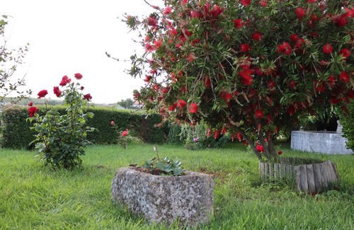 Sapataria House | Holiday Home 'Quinta do Carvalheiro' with Mountain View, Private Pool and Wi-Fi