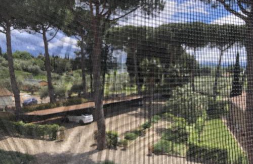 Passignano sul Trasimeno Apartment | Home from Home in Passignano - Lakeside views!