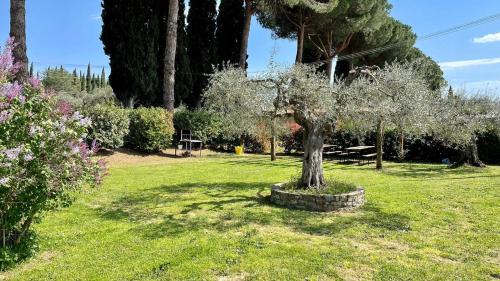 Passignano sul Trasimeno Apartment | Home from Home in Passignano - Lakeside views!