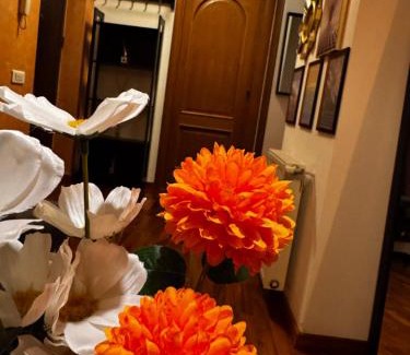 Sector 2 Apartment | Home Guest Apartments
