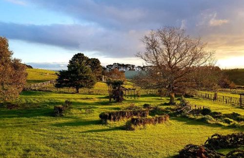 The Gardens House | Home in Auckland