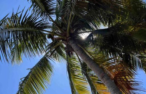Ceiba Apartment | Home in Ceiba near Ferry and Medio Mundo beach.