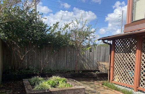 Five Points House | Home in Historic FIVE FOINTS with many hand crafted charming features; walk dtwn