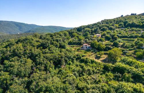 Tempio Pausania Apartment | Home on the hill