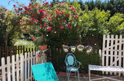 Zizur Mayor Apartment | Home stay ideal for bikes and walking the camino