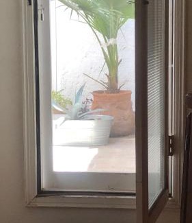 Hidalgo del Parral House | Home Stay María