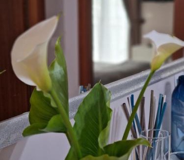 Scerne Bed & Breakfast | Home Sweet Home