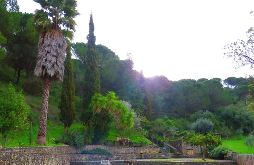 Sao Joao Batista House | Homerez - Amazing house for 13 ppl. with shared pool at Porto de Mós