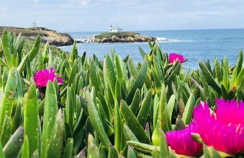 Figueras (Castropol) Apartment | Homerez - Beautiful appartement for 8 ppl. at Ribadeo