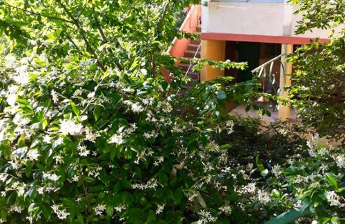 Gornies Apartment | Homerez - Beautiful appartement for 6 ppl. with garden and terrace at Gorniès