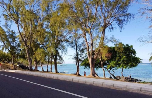 Palmar House | Homerez - Bungalow for 6 ppl. with shared pool, sea view and terrace at Palmar