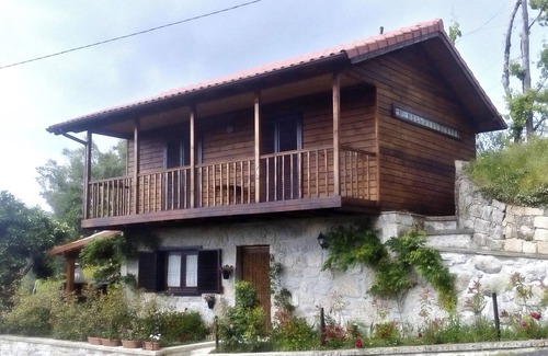 Molares House | Homerez - House in Celorico de Basto