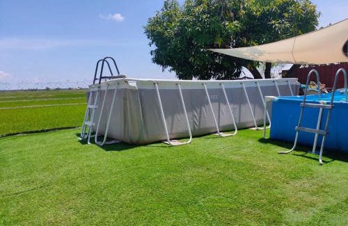 Kampung Sungai Limau House | Homestay Anjung Meranti Private Pool