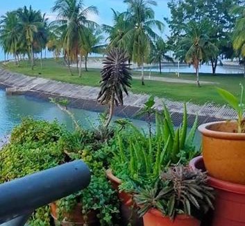 Taman Haji Zainal Apartment | Homestay Atas Air - melayu sahaja