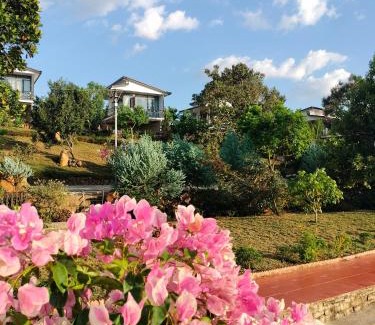 Bao Loc Apartment | Homestay hichi