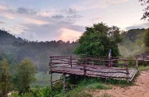 Pekan Nanas House | Homestay LubokSawah