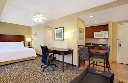 Tampa Hotel | Homewood Suites by Hilton Tampa-Brandon