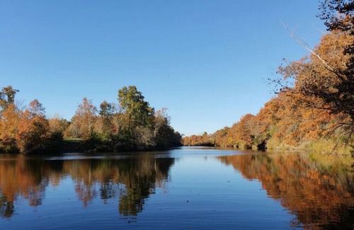 Henry County Cabin | Honey Creek Hideaway at Back Country Camp