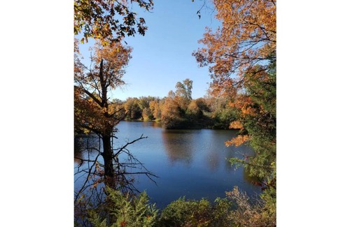 Henry County Cabin | Honey Creek Hideaway at Back Country Camp