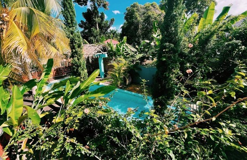 Ocho Rios Cabin | HoneyComb Cabin, two bedroom unique loft cabin, in a lush tranquil setting!