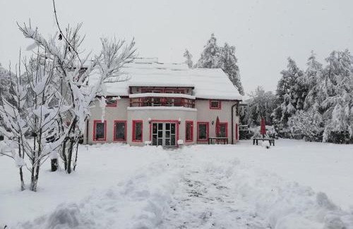 Avrig House | Horia