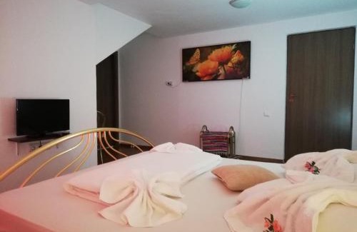 Avrig House | Horia