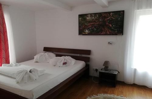 Avrig House | Horia