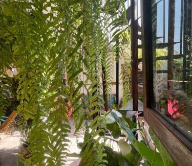 Ilha das Cobras House | Hospedagem Villa Caiçara