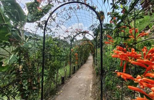 Manizales House | Hospedaje Campestre Providencia