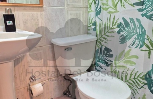 Temuco Hostel | HOSTAL DEL BOSQUE TEMUCO