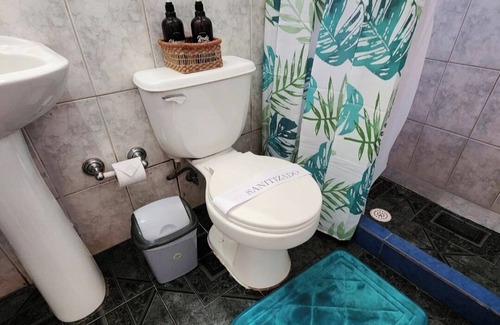 Temuco Hostel | HOSTAL DEL BOSQUE TEMUCO