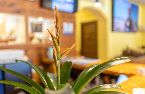 Colonia Sant Jordi House | Hostal Doris - Adults Only