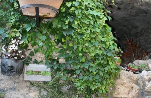 Beget House | Hostal El Forn