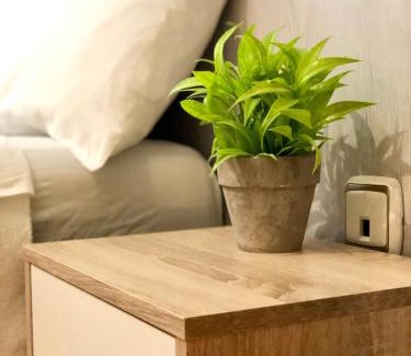 Abena House | Hostal Escartín